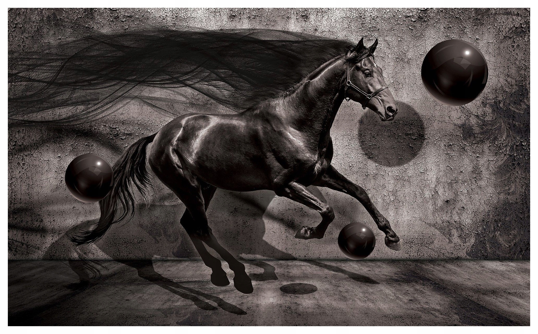 Fototapeta Čierny kôň Dynamika Sila Kontrast Abstrakcia 300x210 lepidlo