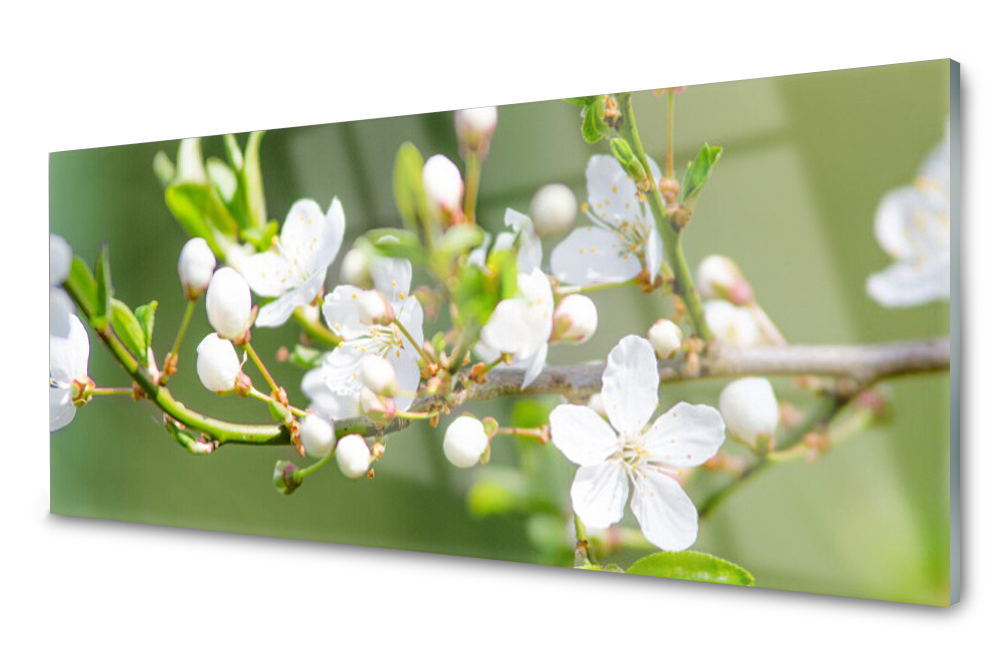 Sklenený panel do kuchyne Kvety Vetvy Sad 125x50