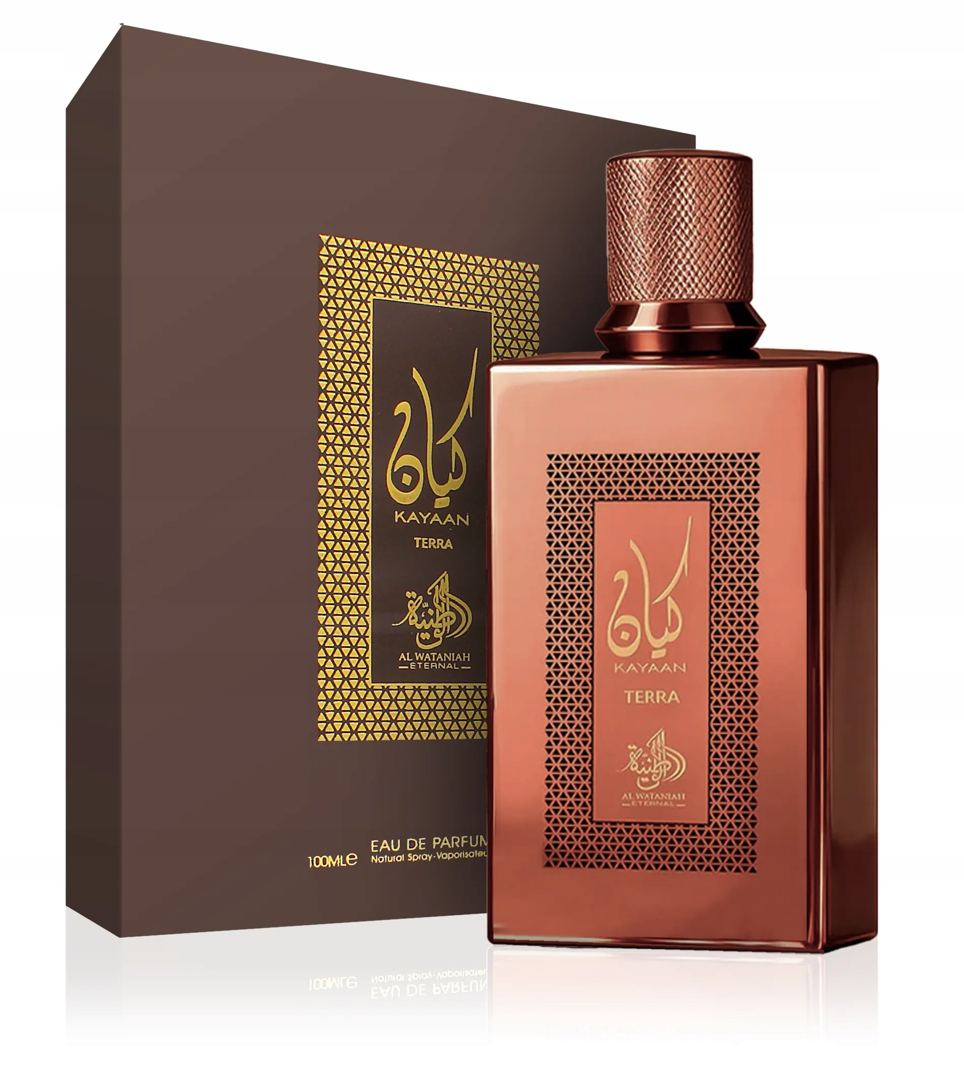 Al Wataniah Eternal Kayaan Terra parfémovaná voda unisex 100 ml