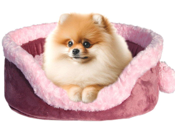 Pelíšek pro pomeraniana, psa špice trpasličího vzrůstu