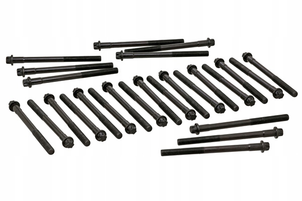 ELRING ZESTAW ŚRUB GŁOWICY CYLINDRÓW KPL NA SILNIK 26SZT. MAN HOCL