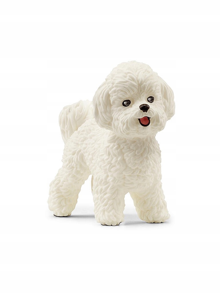 

Schleich Pies rasy bichon frise 13963
