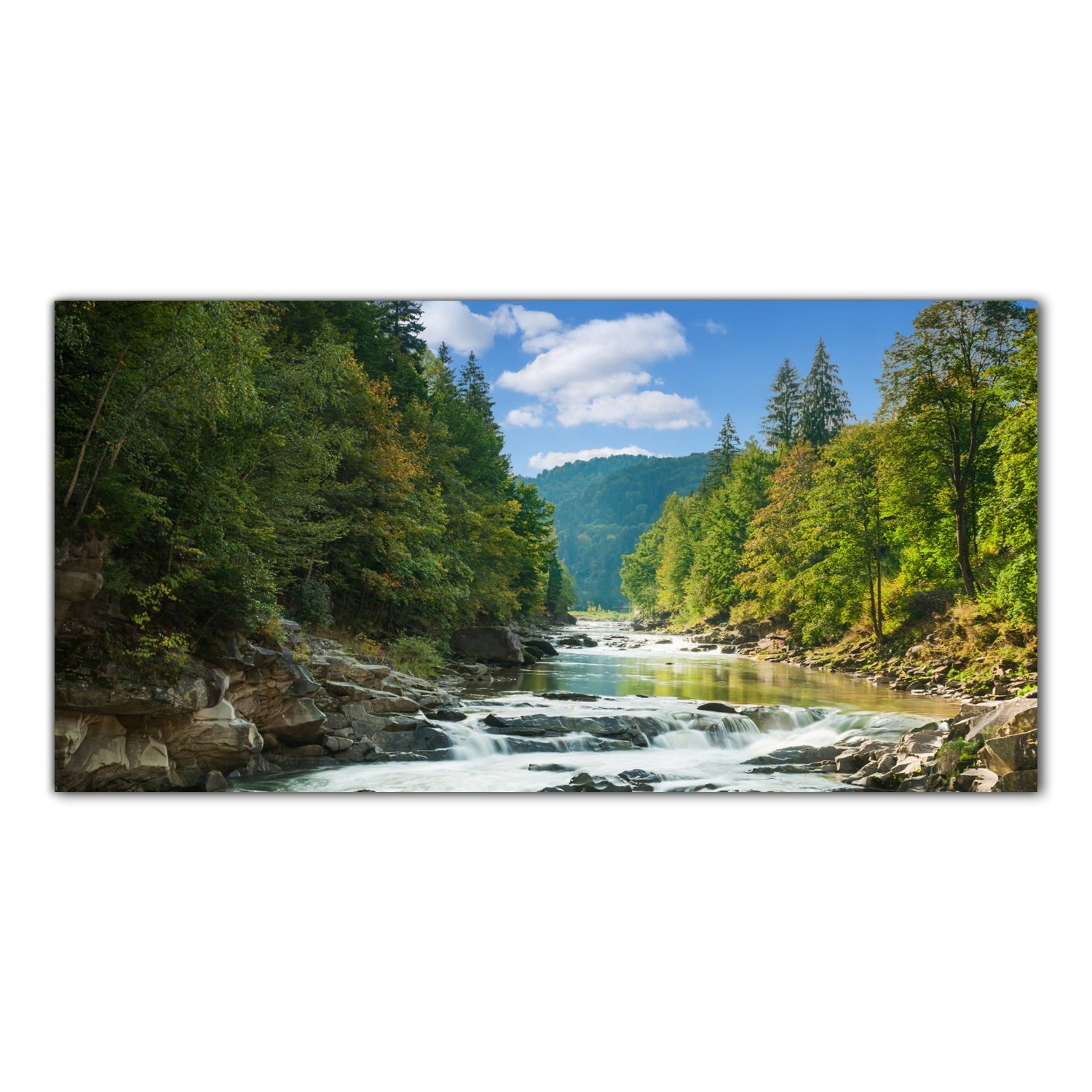 Řeka Les Stromy 120x60 Tvrzené sklo do kuchyně