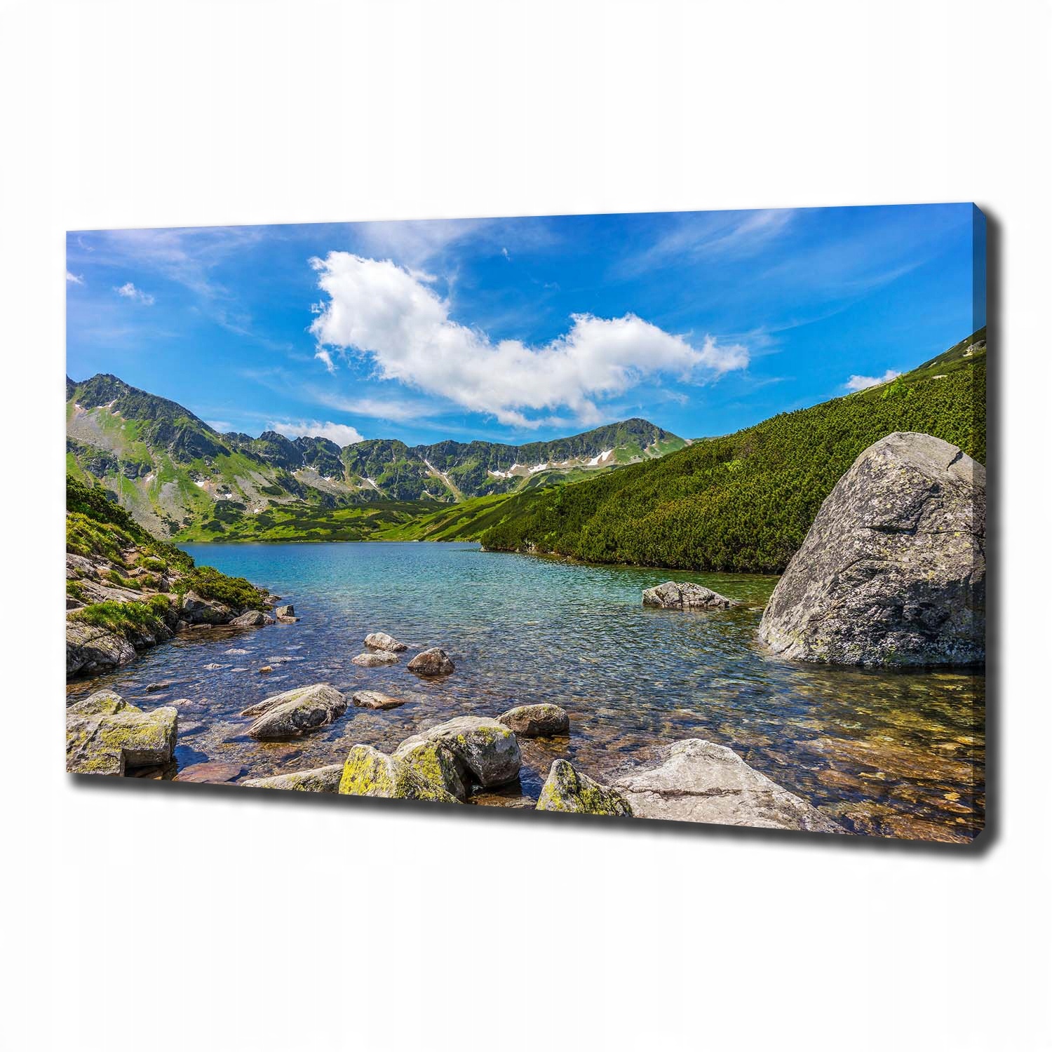 

Duży foto obraz na płótnie Dolina Tatry 100x70 cm