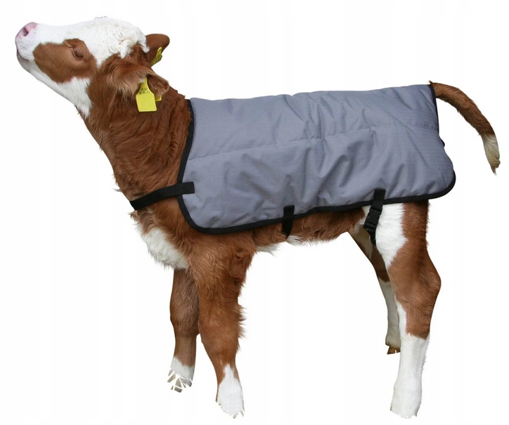 DERKA DLA CIELAKA RIPSTOPP DŁ. 70CM SZARA KERBL Marka Kerbl