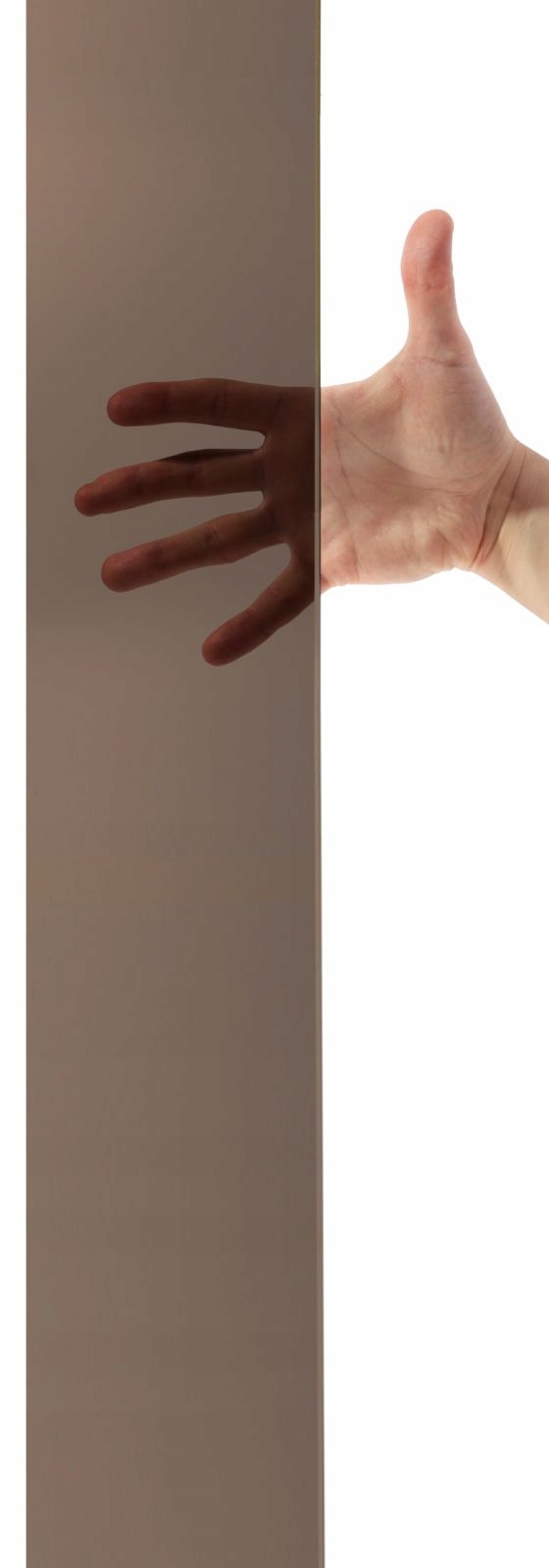 Drzwi prysznicowe prysznic Eos DWD 100 brązowe Wykończenie szkła inne