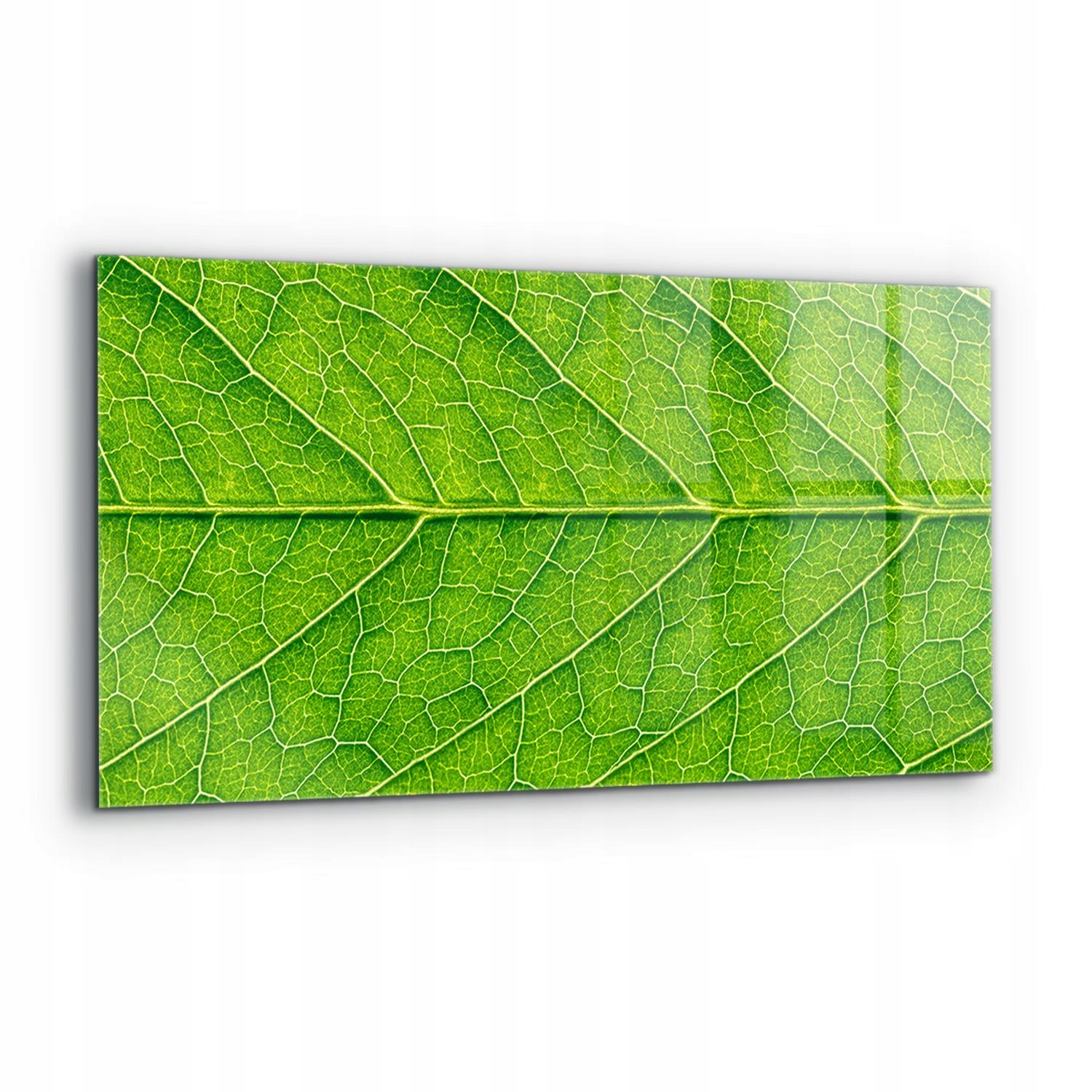 Nástenný panel Detaily Jemného listu 120x60 cm