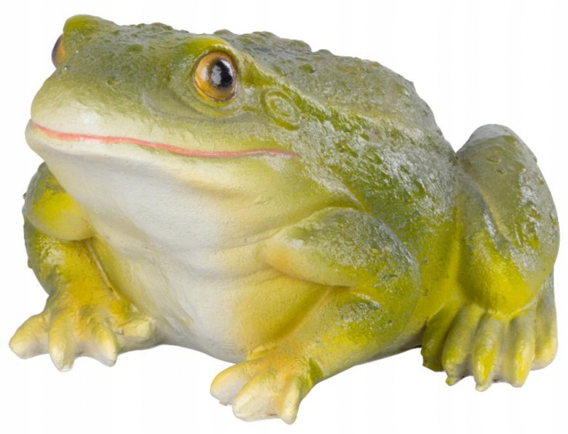 

Żaba Żabka Ogrodowa Ozdoba Figurka Do Ogrodu