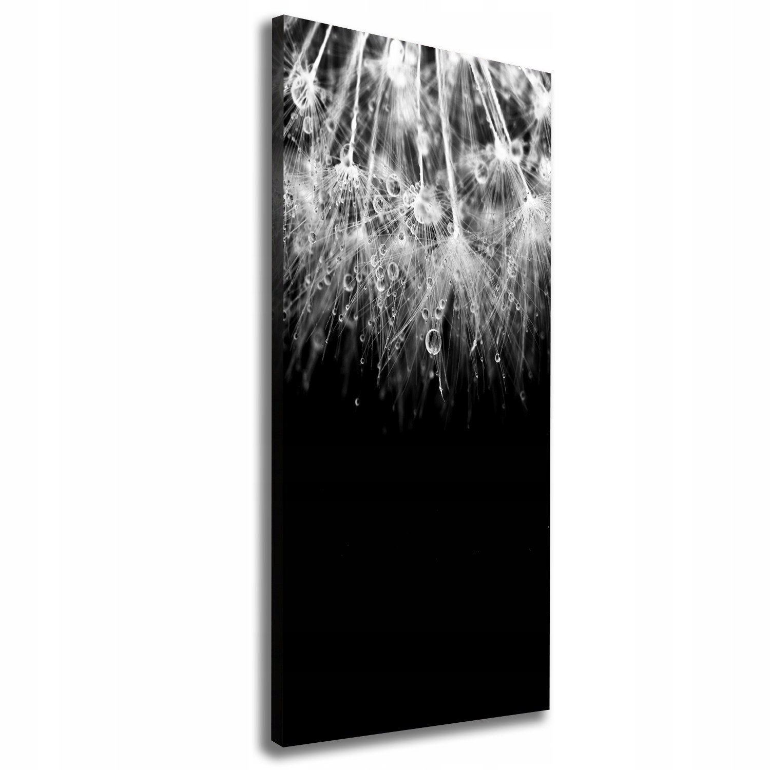 

Foto obraz na płótnie Nasiona dmuchawca 50x125 cm