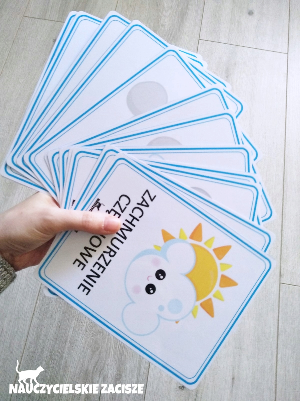 POGODA zjawiska pogodowe x12 Plansze edukacyjne Wydawnictwo inne