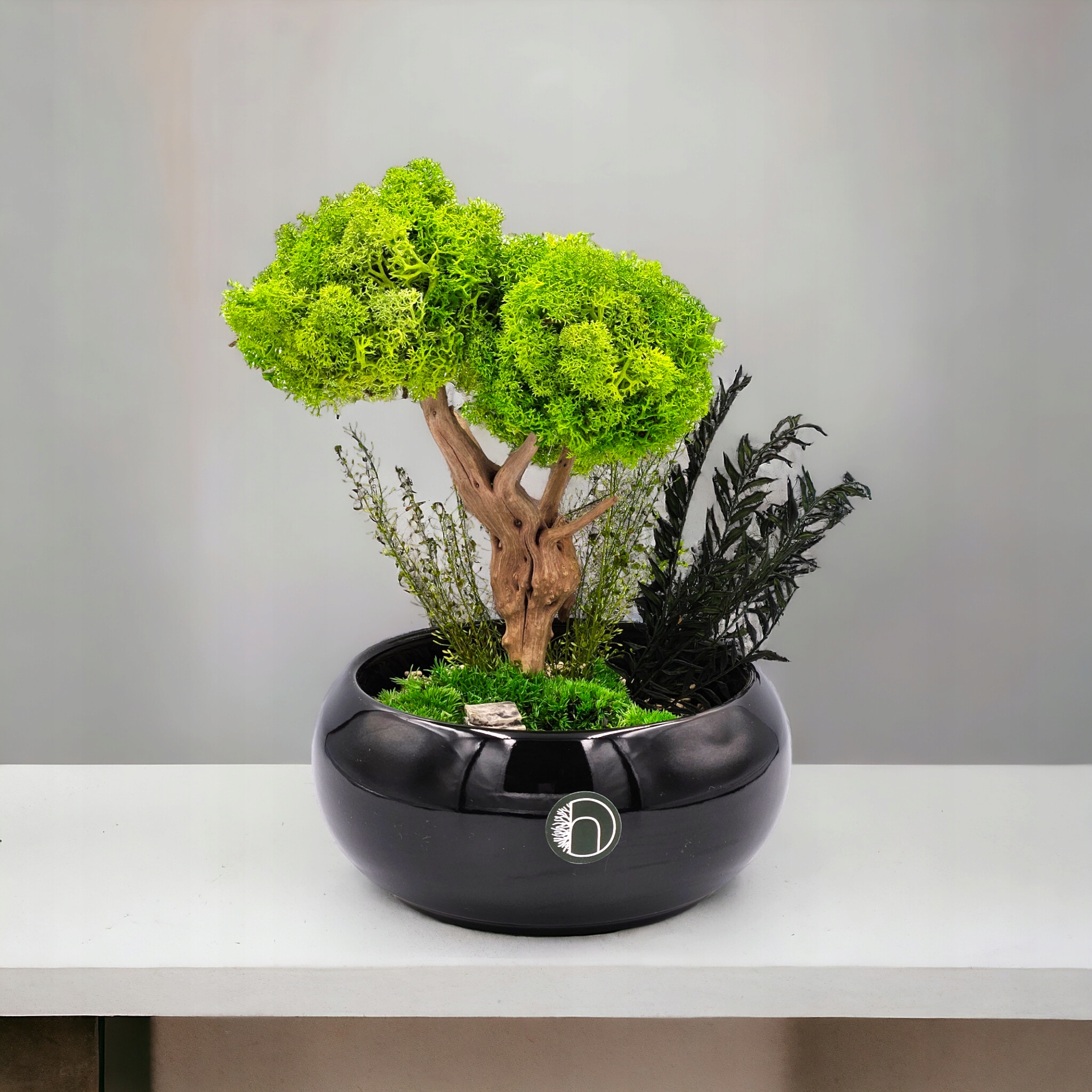 Drzewko z mchu chrobotek jak bonsai SPA czarna misa doniczka BEZ PODLEWANIA Forma w doniczce, pojemniku