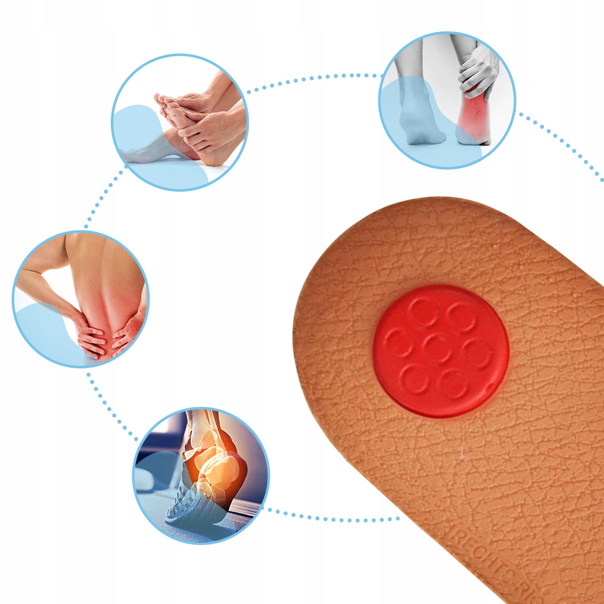 ORTOPEDYCZNE wkładki do butów PŁASKOSTOPIE ROZ.46 Rozmiar zakresowy 46-46