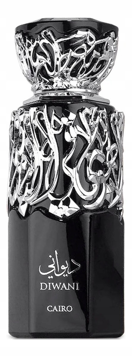 French Avenue Diwani Cairo parfémovaná voda sprej 100 ml