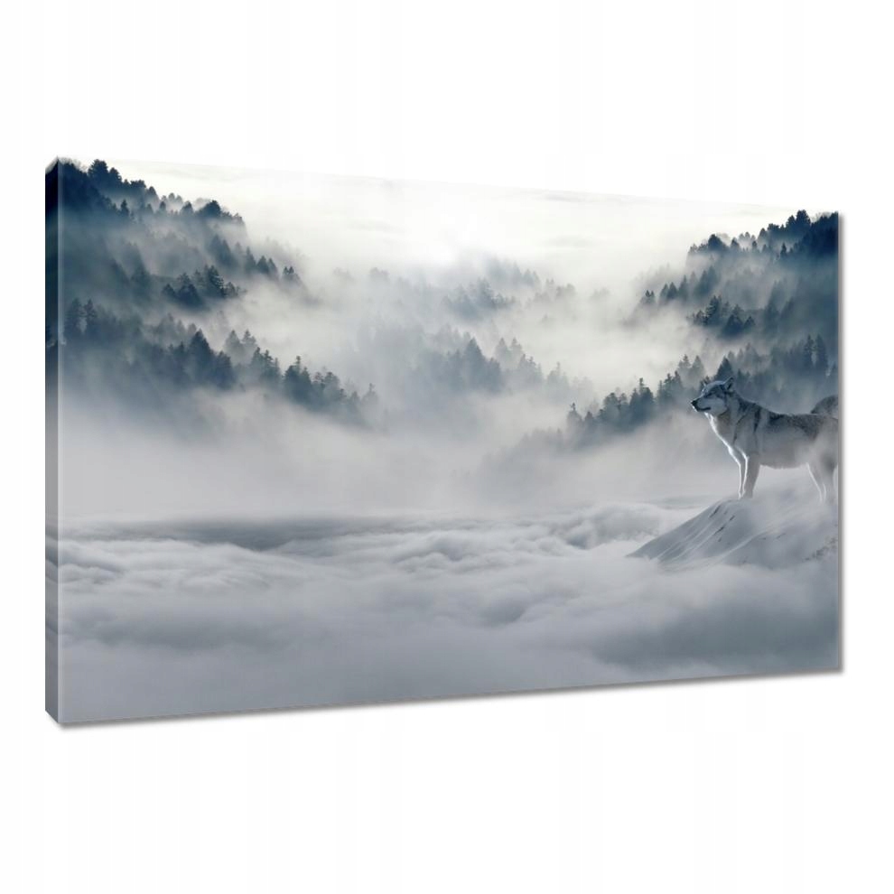 

Obrazy 120x80 Wilki w naturze