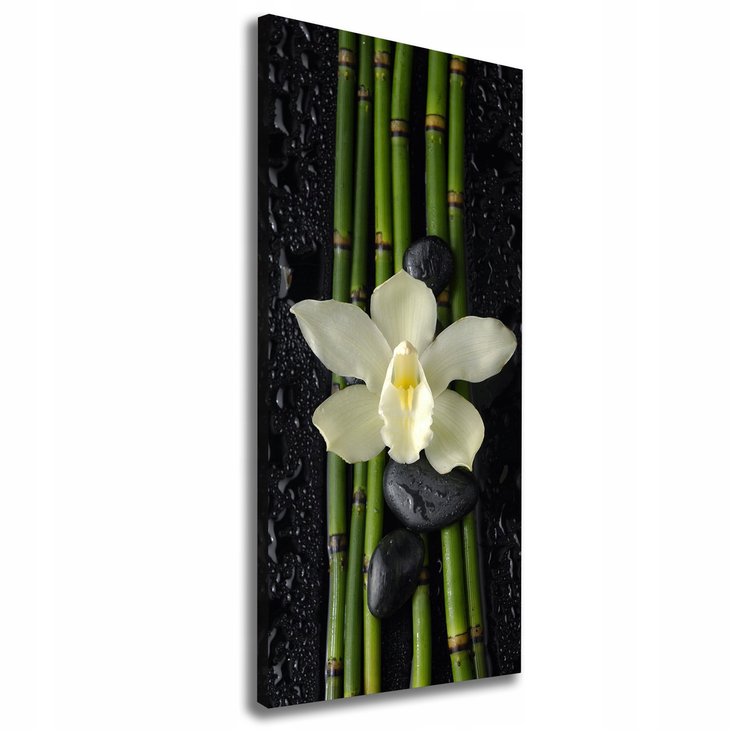 

Foto obraz na płótnie Orchidea i bambus 50x125 cm