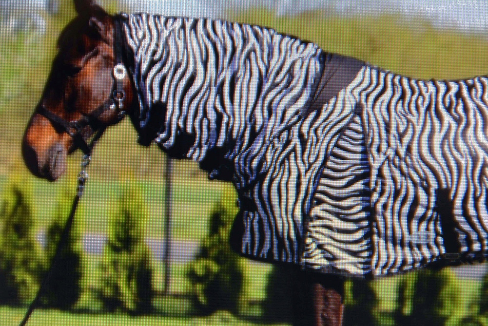 DERKA SIATKOWA Z KAPTUREM PRZECIW OWADOM 145cm