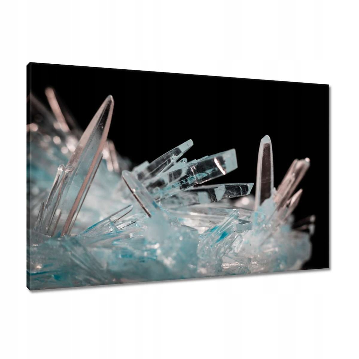 Obrazy 90x60 Makrofotografie MacroFoto