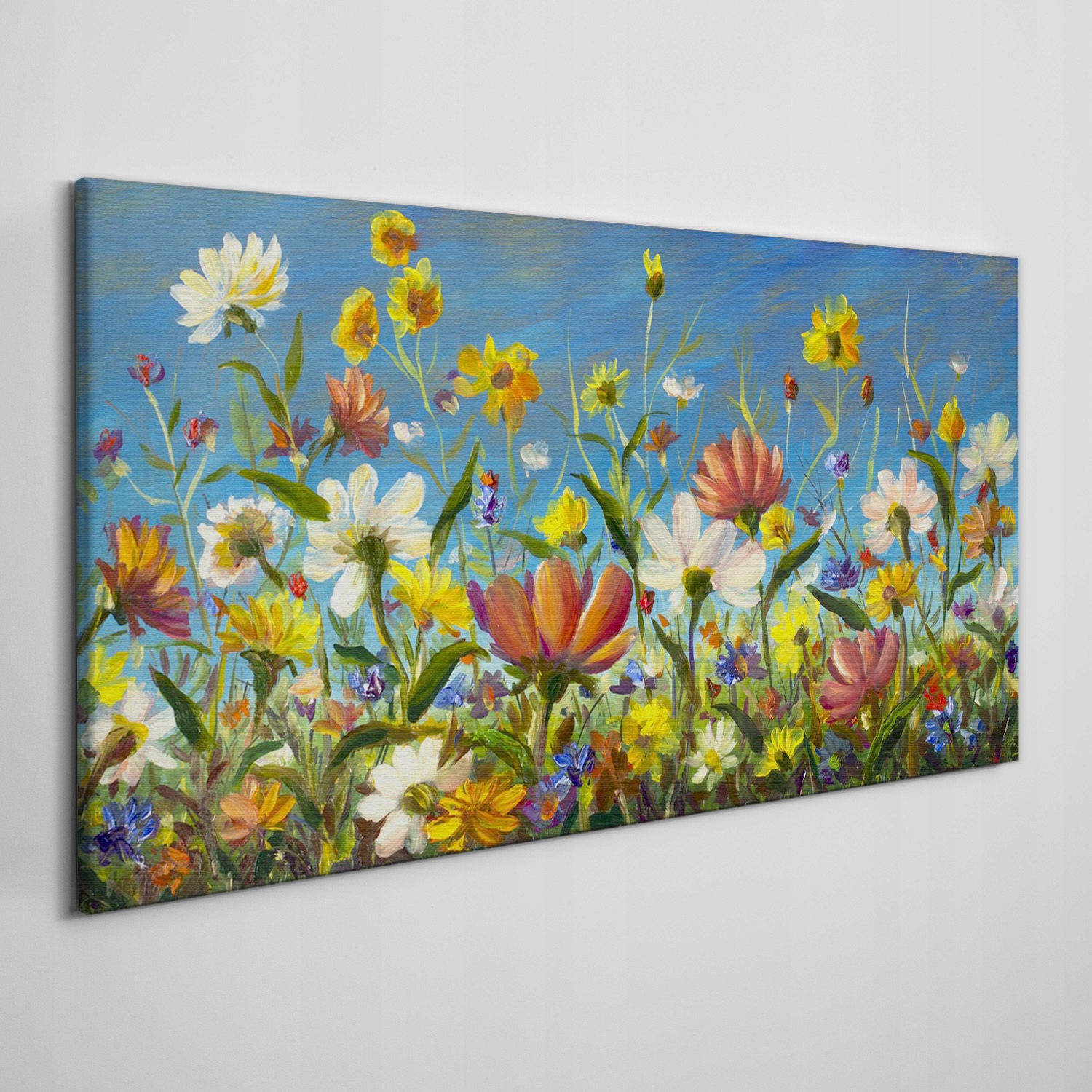 

Obraz na płótnie Malarstwo kwiaty łąka 100x50 cm