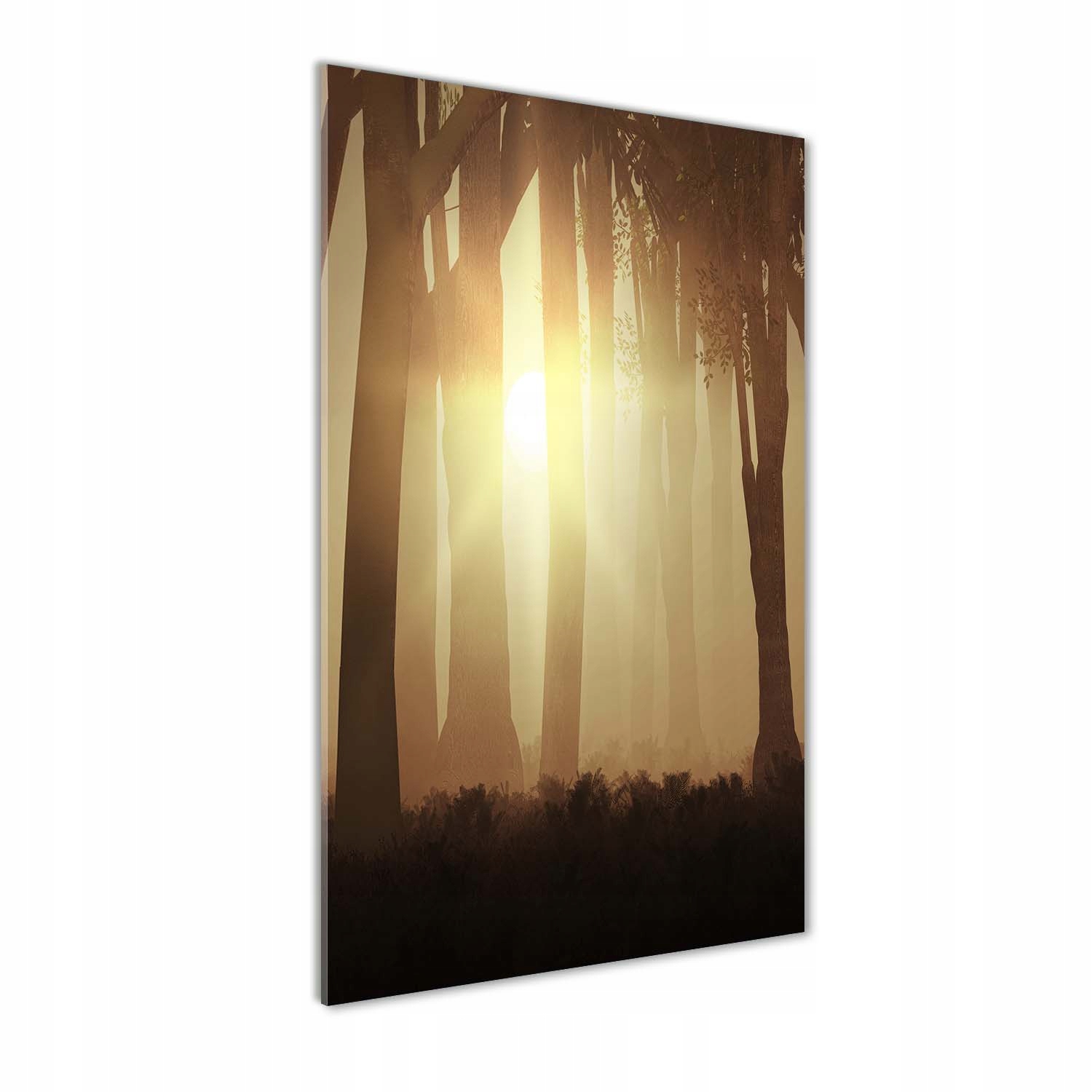 

Nowoczesny fotoobraz akrylowy Mgłą w lesie 70x140