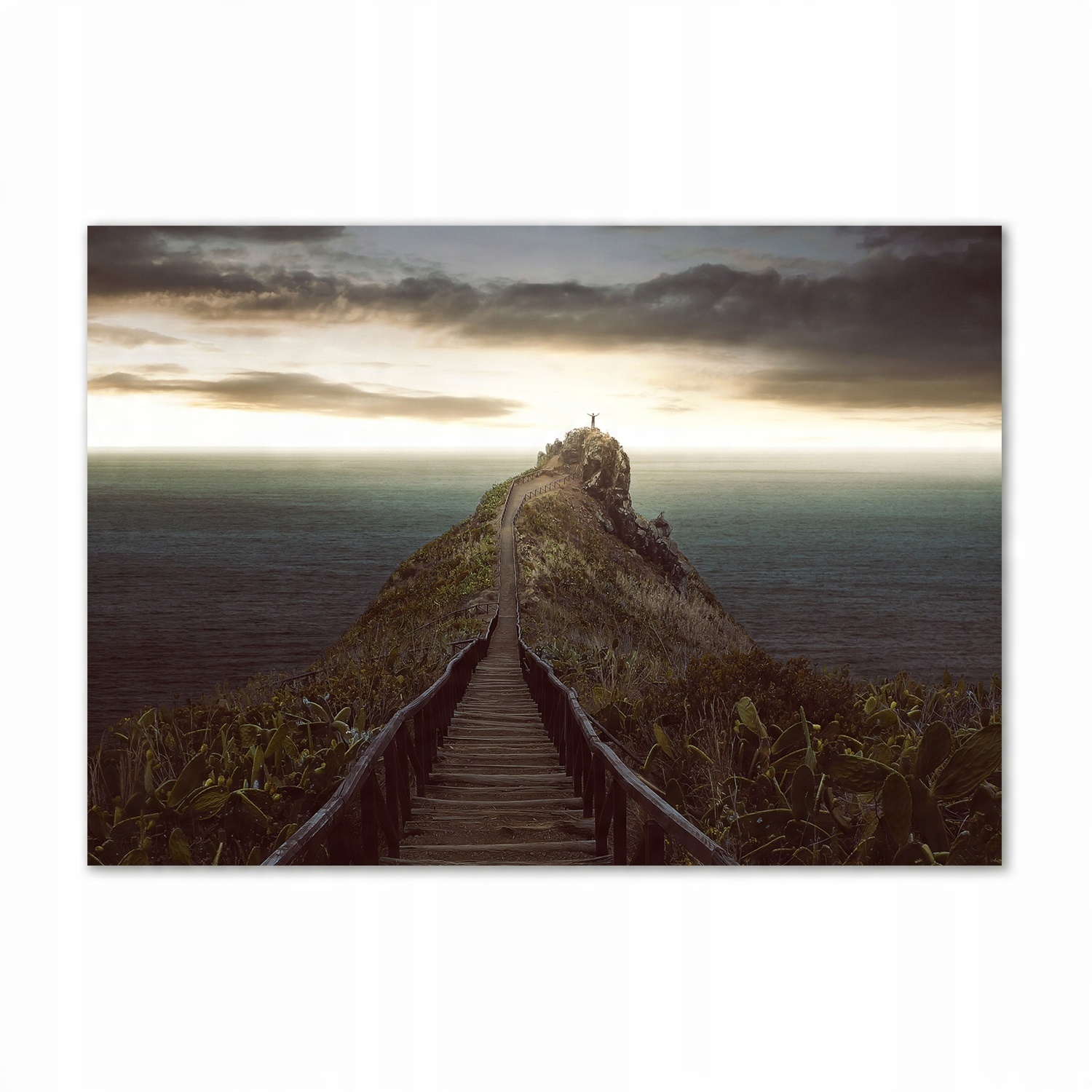 

Foto obraz szklany Ścieżka na skale 100x70