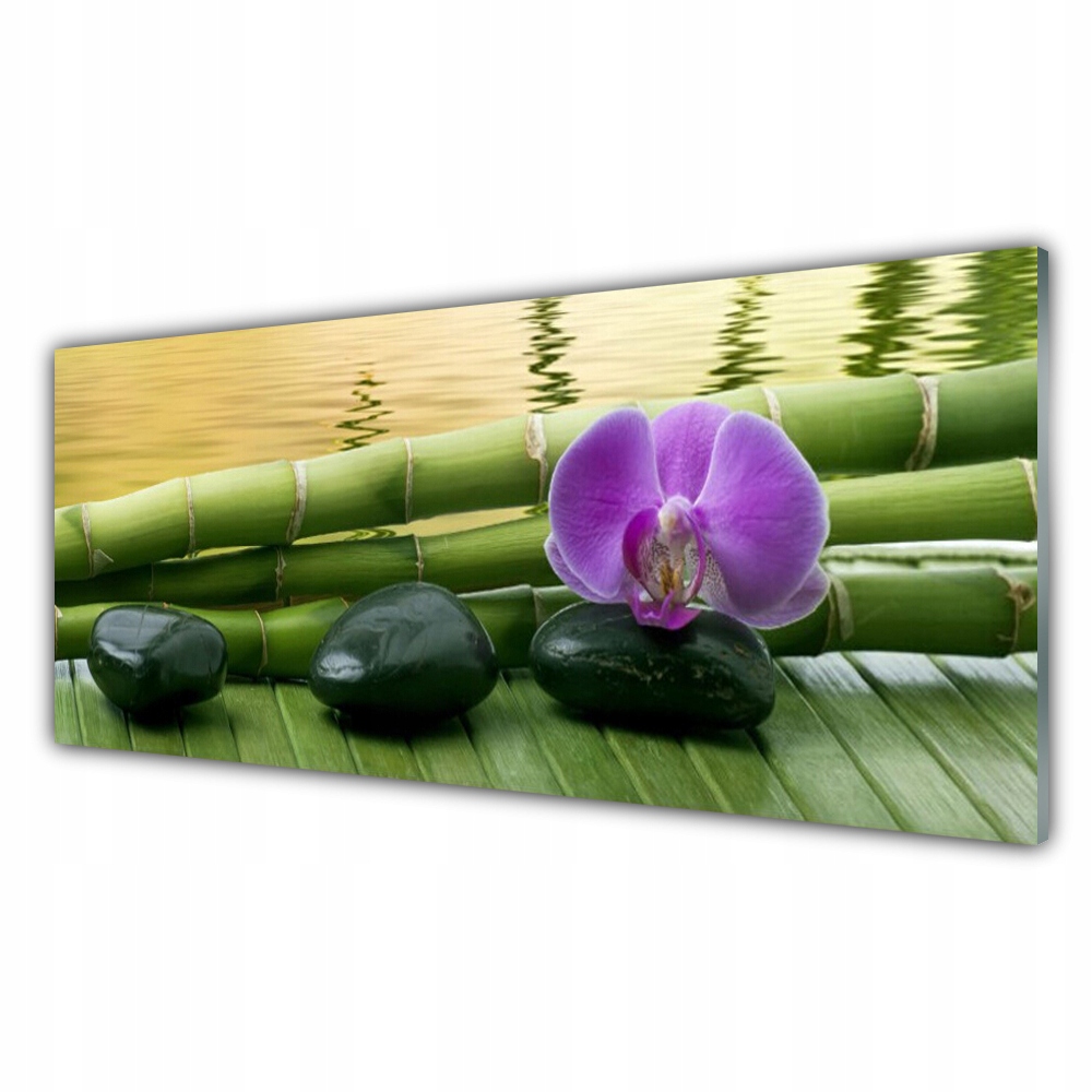 

Obraz akrylowy 125x50 Kwiat Kamienie Bambus Natura