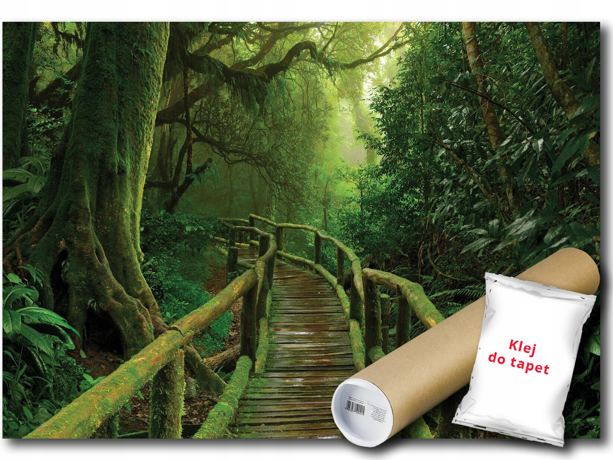 Vinylová Fototapeta Les Stromy Stezka 208x146