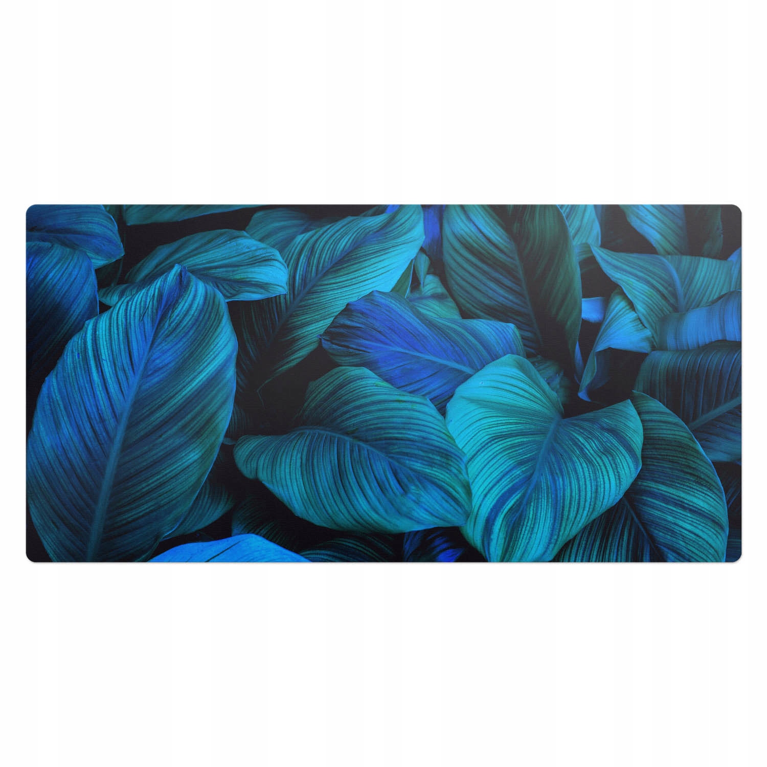 Moderní vinylová podložka na psací stůl Exotické listy z džungle 100 x 50 cm