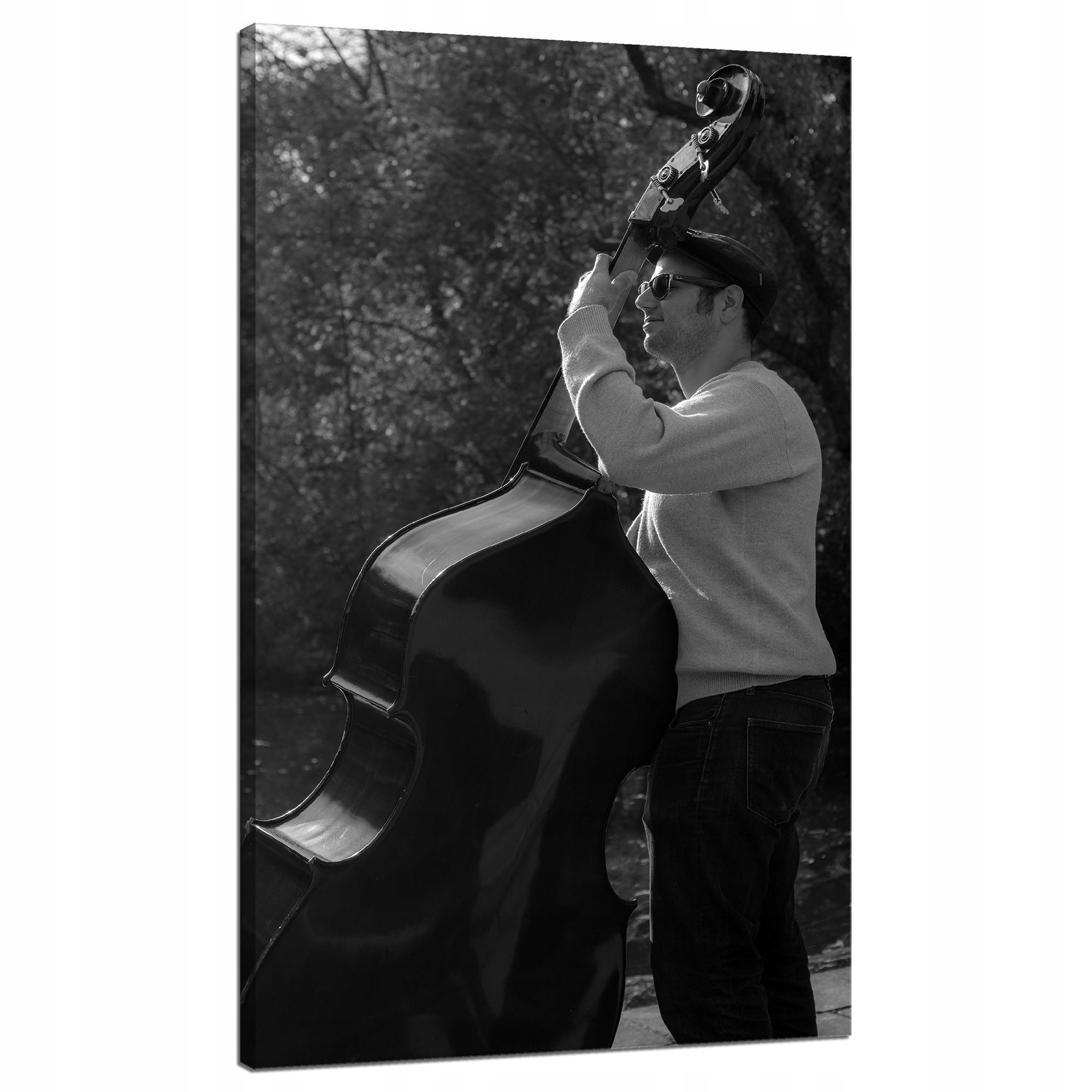 Obraz na plátně Hudba Hudebník kontrabas 70x120 cm