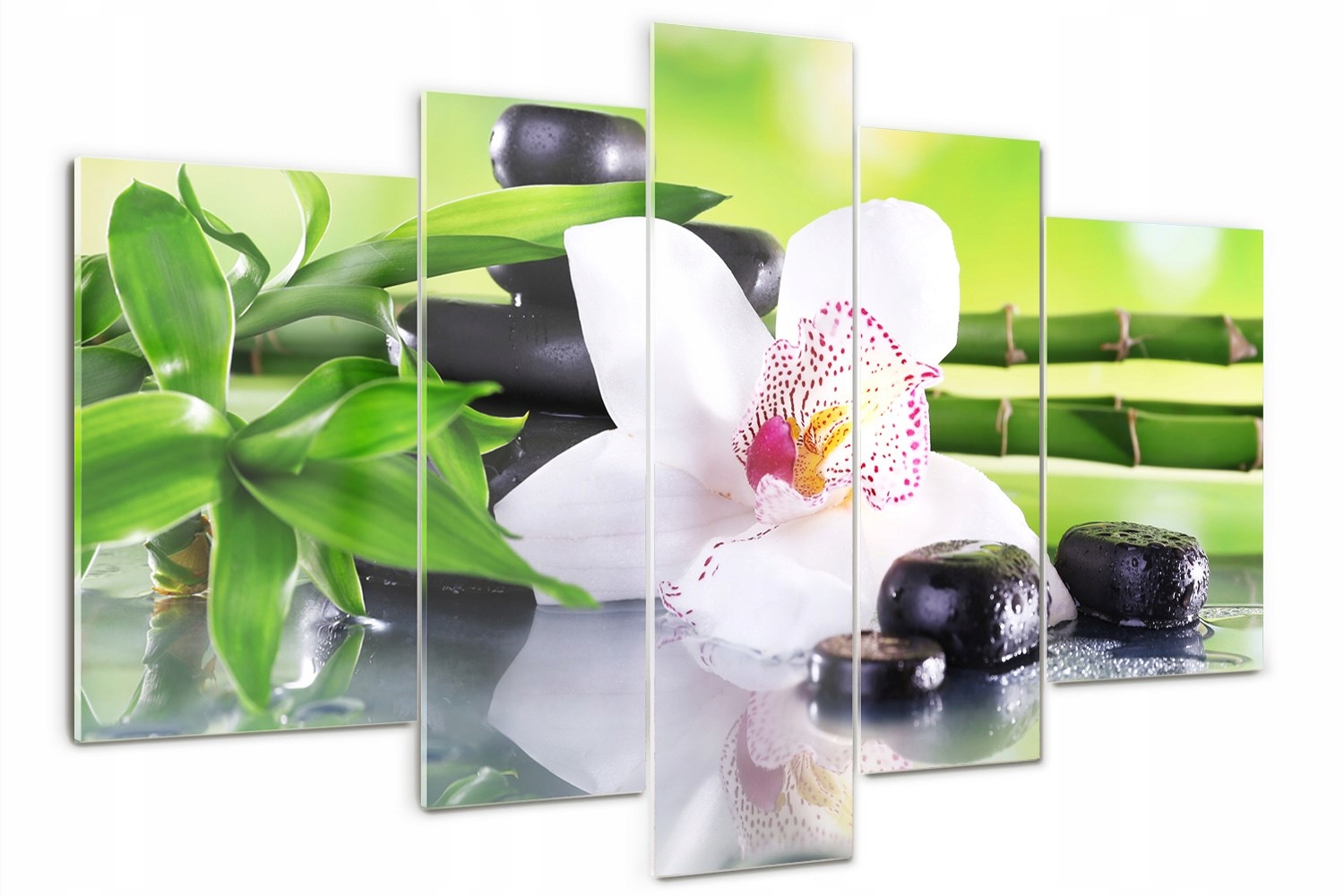 

Foto Obraz szklany duży tryptyk Orchidea kwiaty