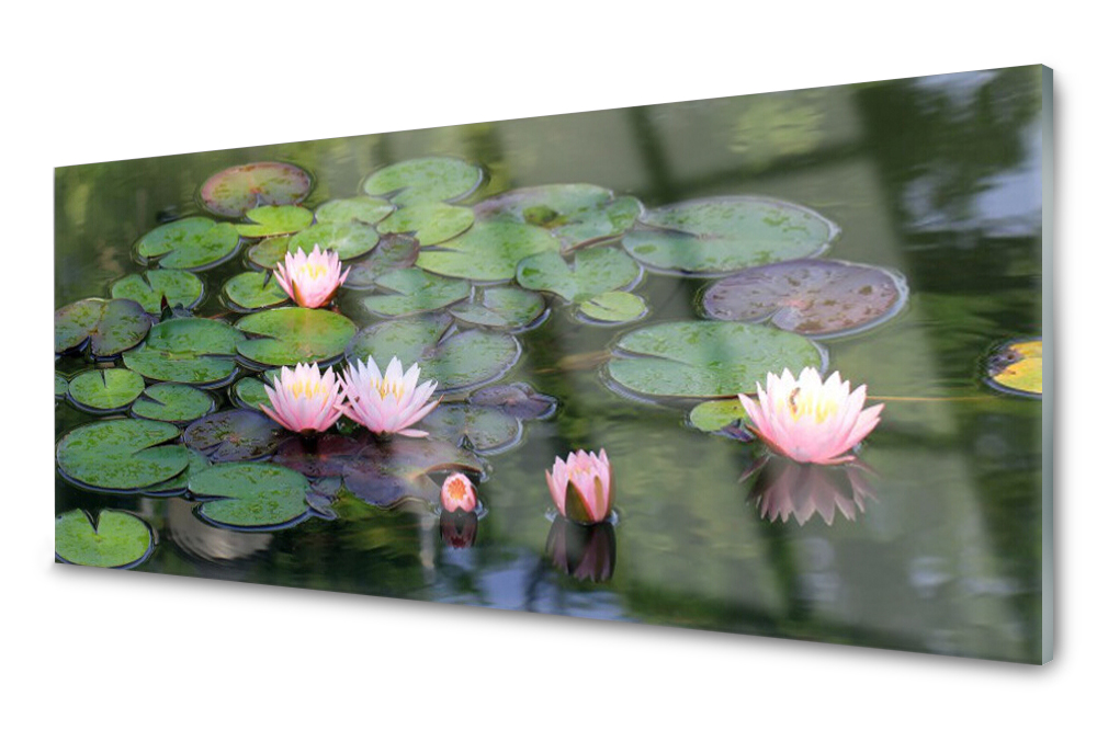 

Panel szklany do kuchni Lilia Wodna Staw 125x50