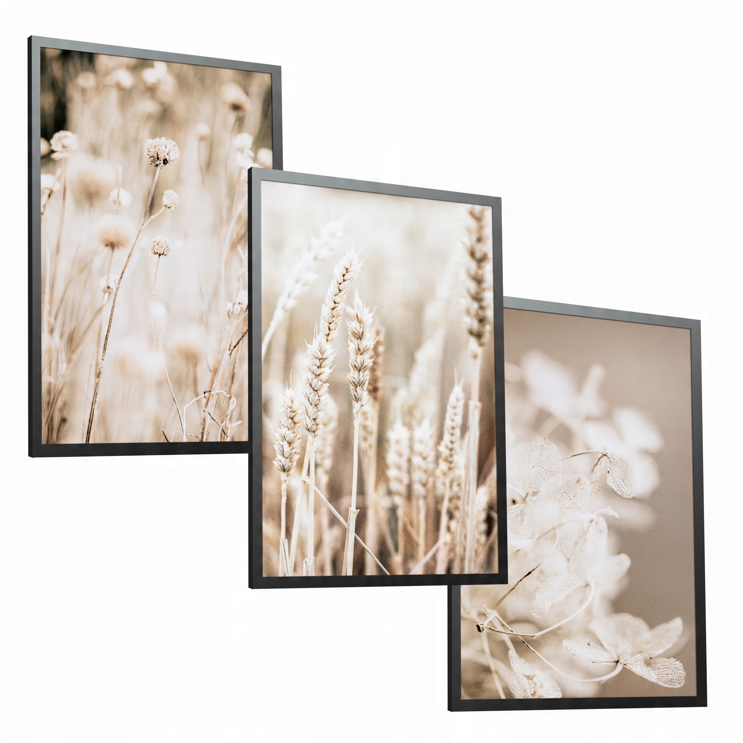

Trawy zestaw 3 plakaty 40x50 do salonu sypialni