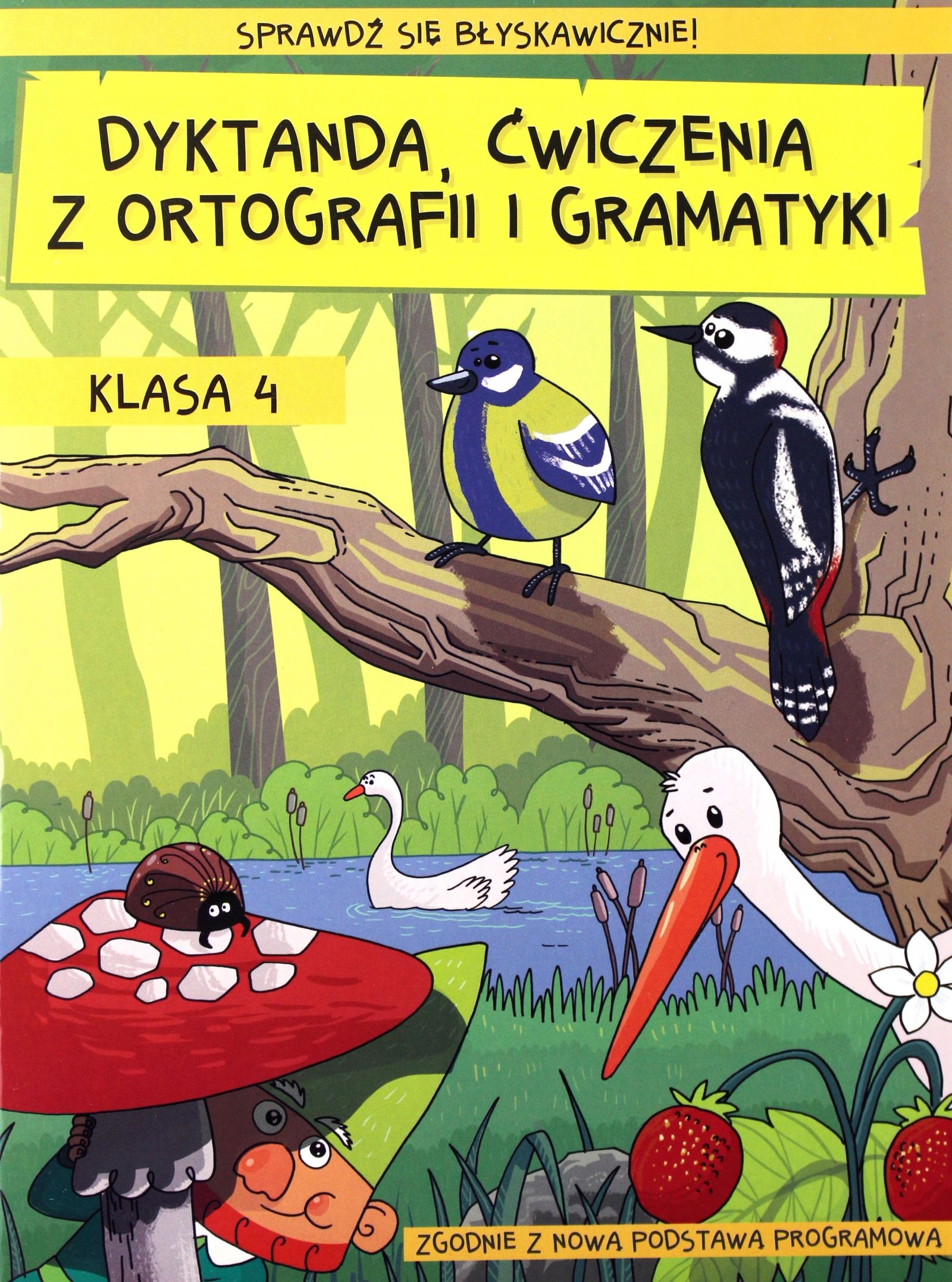 DYKTANDA, ĆWICZENIA Z ORTOGRAFII I GRAMATYKI KLASA (12398581783
