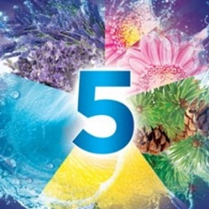 Bref Power Zawieszka WC Sosnowy Las 3x50g Pojemność 0.05 l