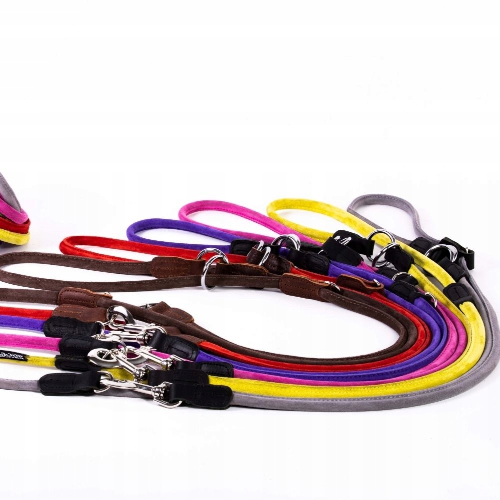 Levně Kožená vodítko pro psa s nastavitelným zapínáním