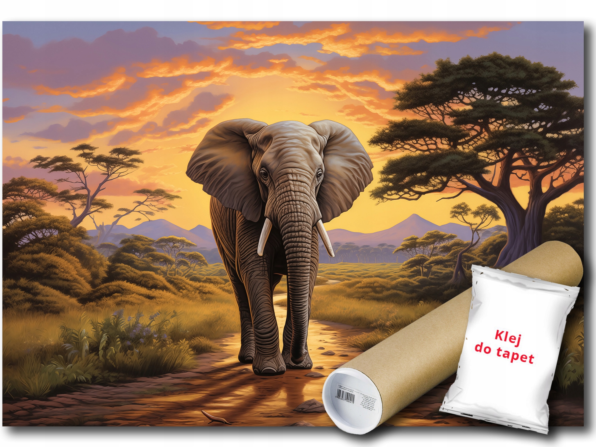 Fototapeta Flizelina Slon Zviera Safari Západ Príroda 312x219