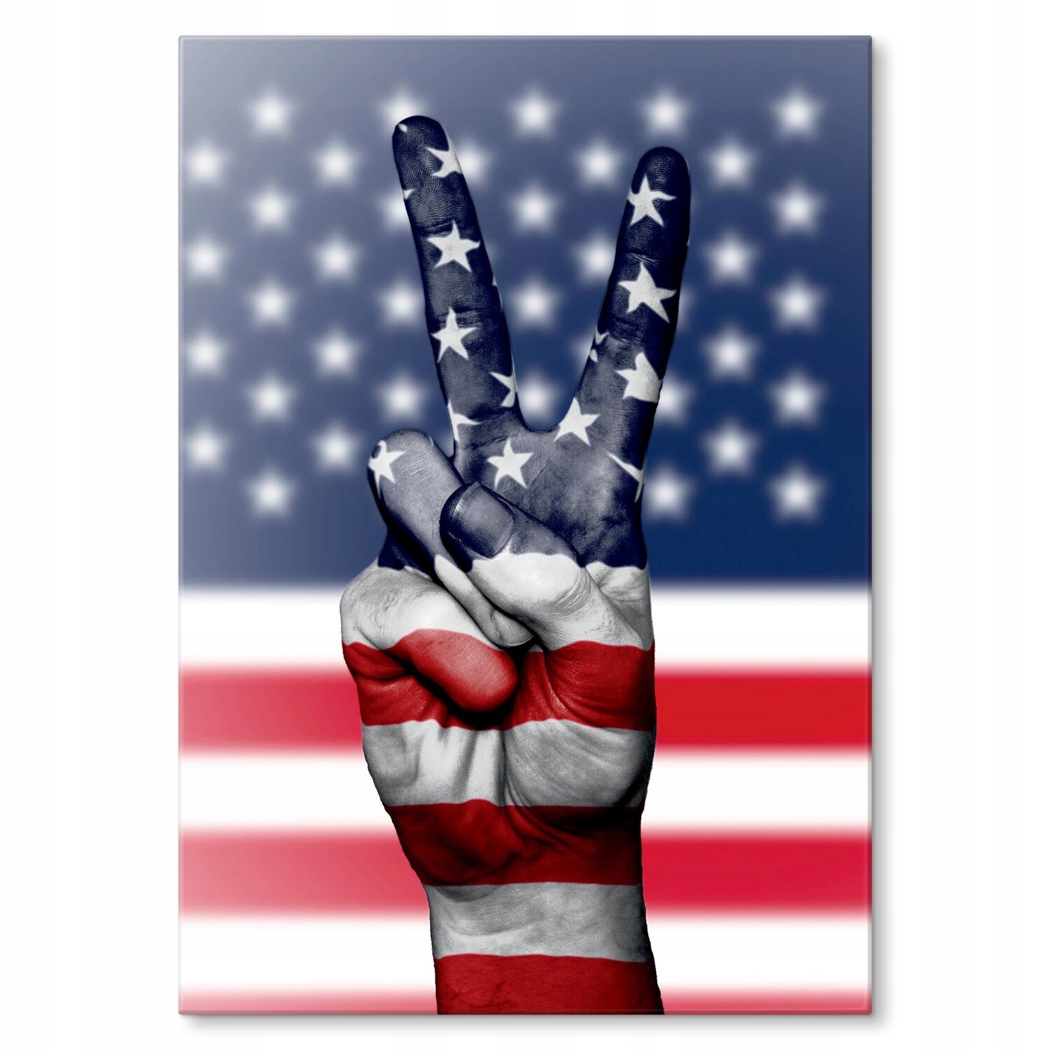 Kovový plakát Usa Victoria Dárek 30 x 42 cm