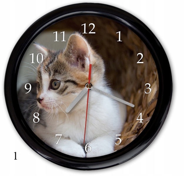 ZEGAR ŚCIENNY kotek koty KOT BRYTYJSKI PERSKI PL Marka Inna marka