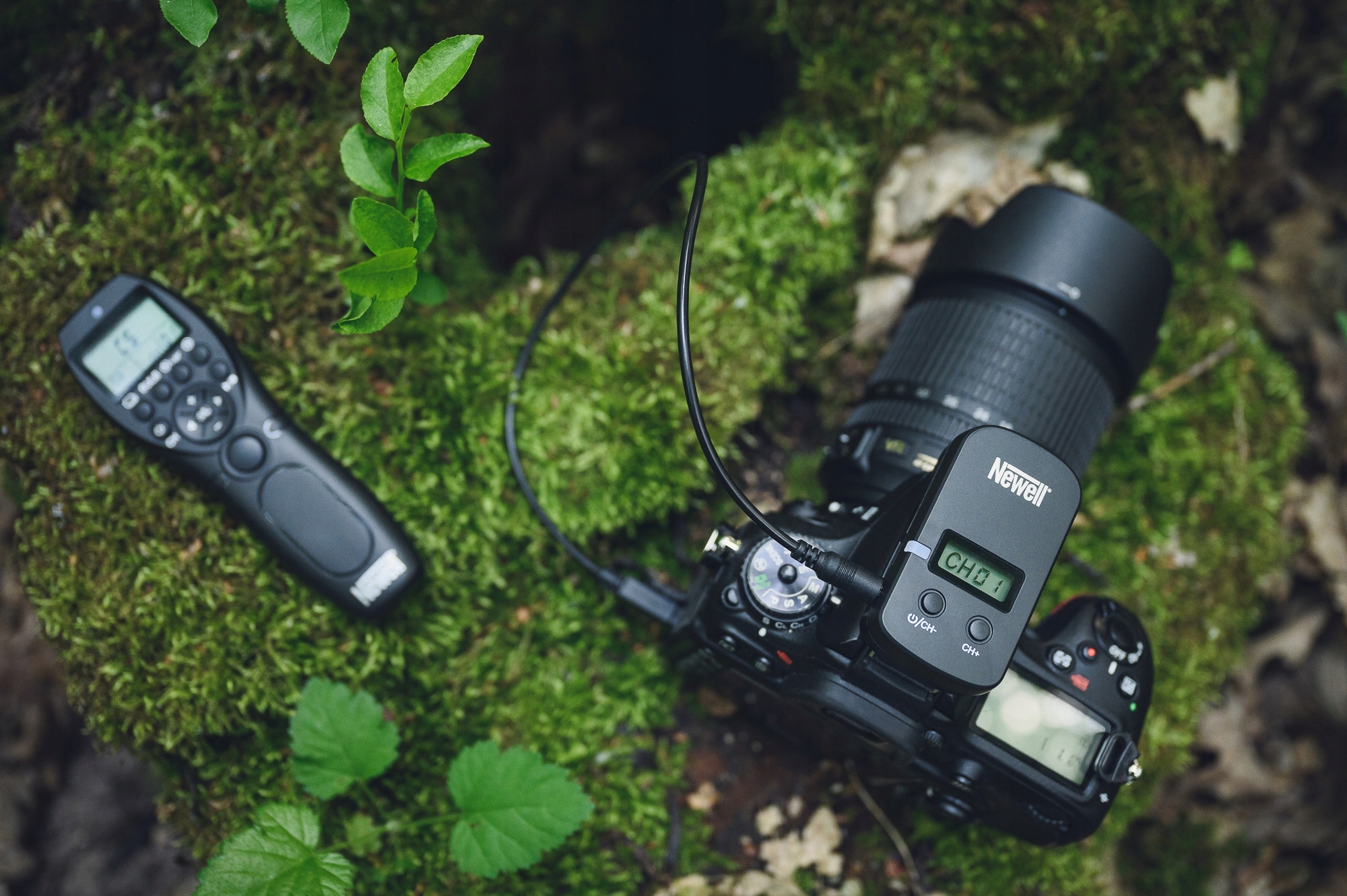 PILOT Wężyk spustowy do CANON EOS 1100D EOS 1300D Rodzaj zamiennik