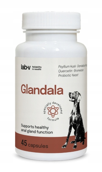 Lab-v Glandala Podpora rektálních žláz a traktu...