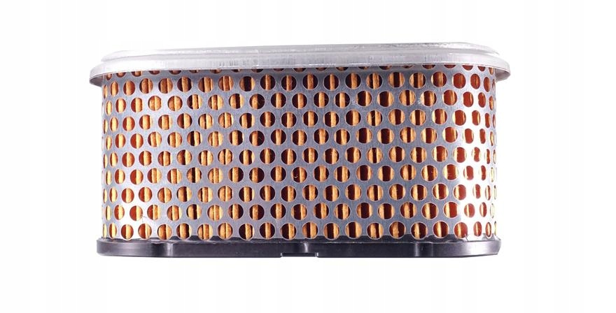 

Filtr powietrza Briggs seria 260700, 261700