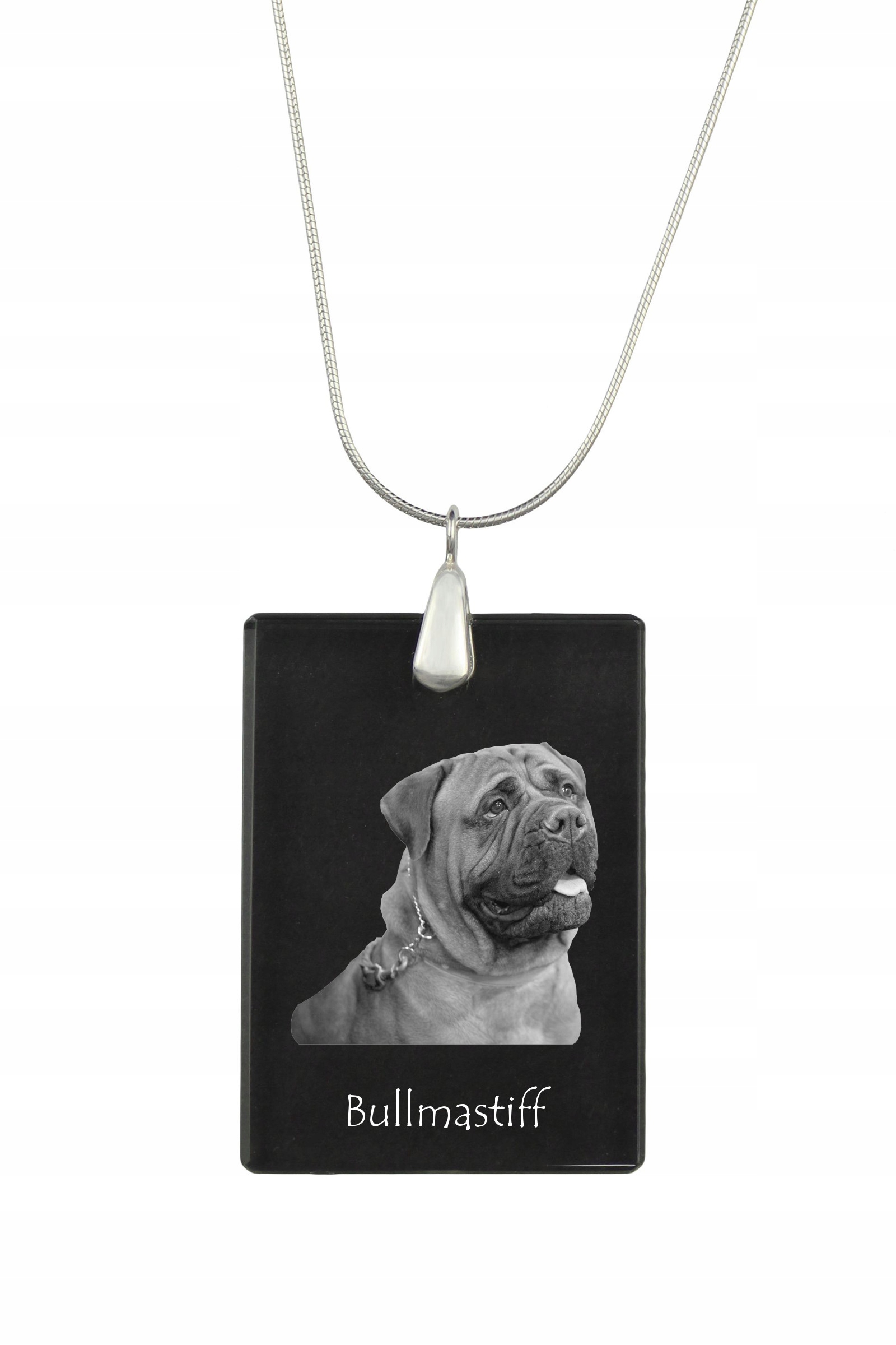 Bullmastiff stříbrný náhrdelník s křišťálovým přívěskem se psem s fotografií