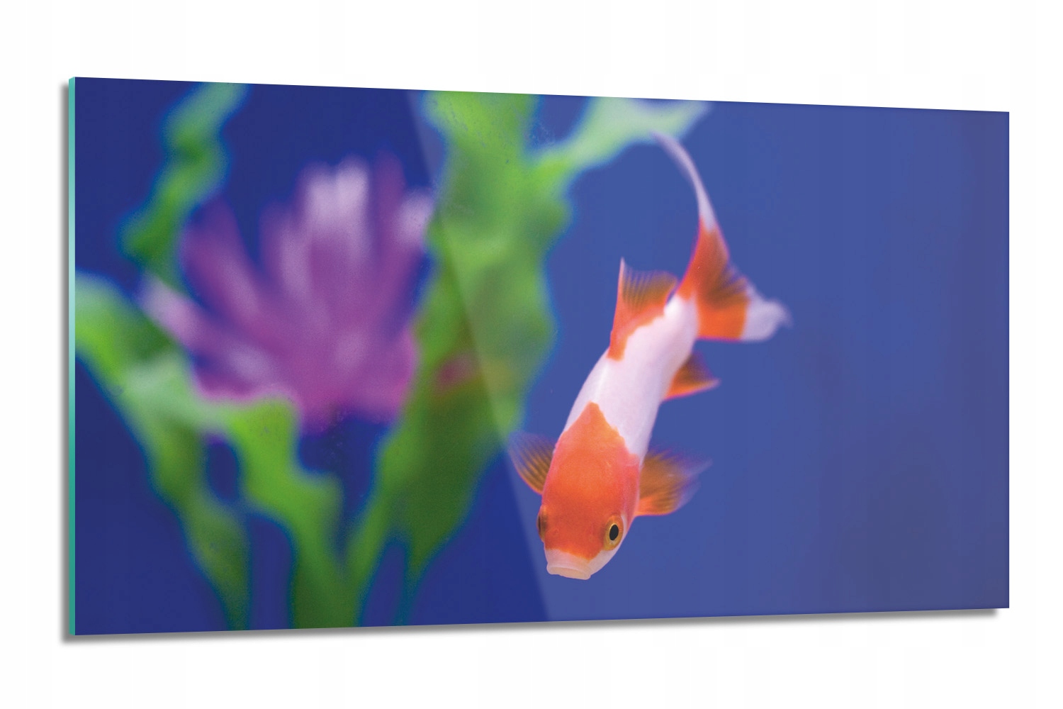 sklenená doska Ryba akvárium sklo 120x60 kuchynská