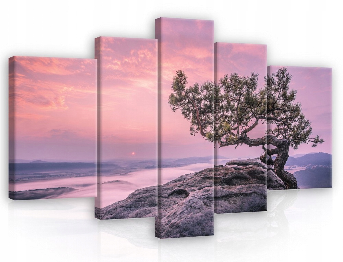 Obraz Na Plátně Canvas 170x100 Hory Strom Svítání