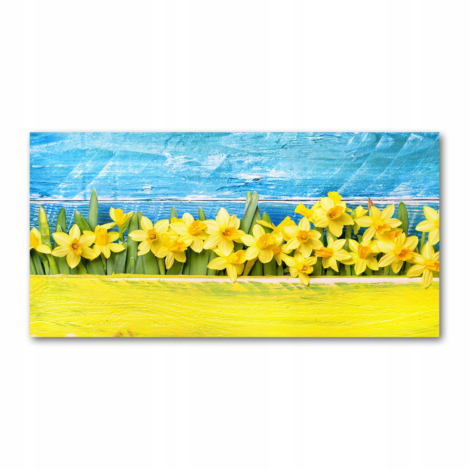 

Foto obraz duży akryl nowoczesny Żonkile 120X60cm