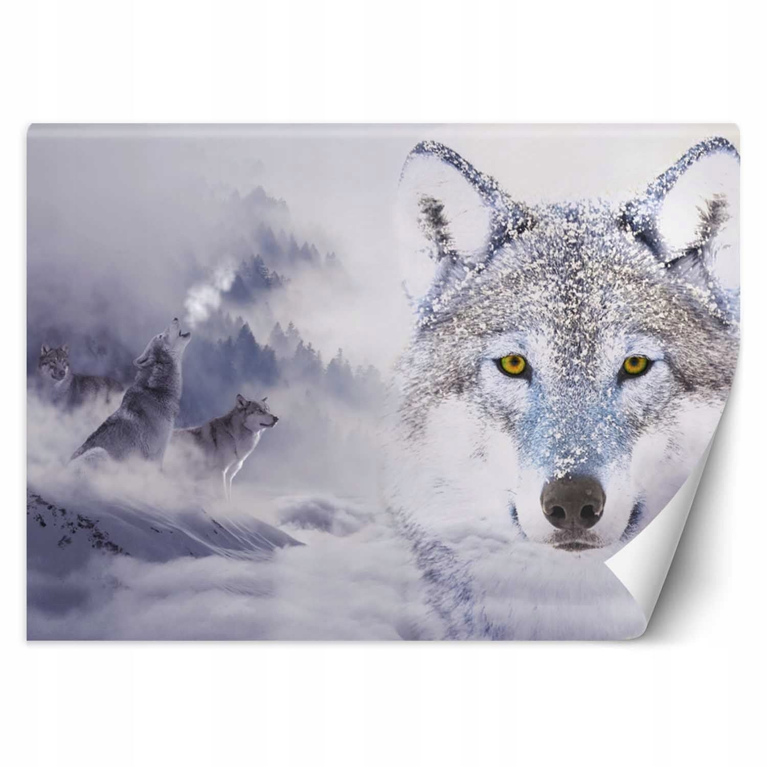 Fototapeta 3D Vlci v zimě hory sníh les 400x280