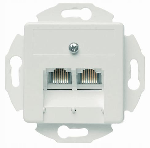 

Telegartner Gniazdo komputerowe kat.6A 2xRJ45