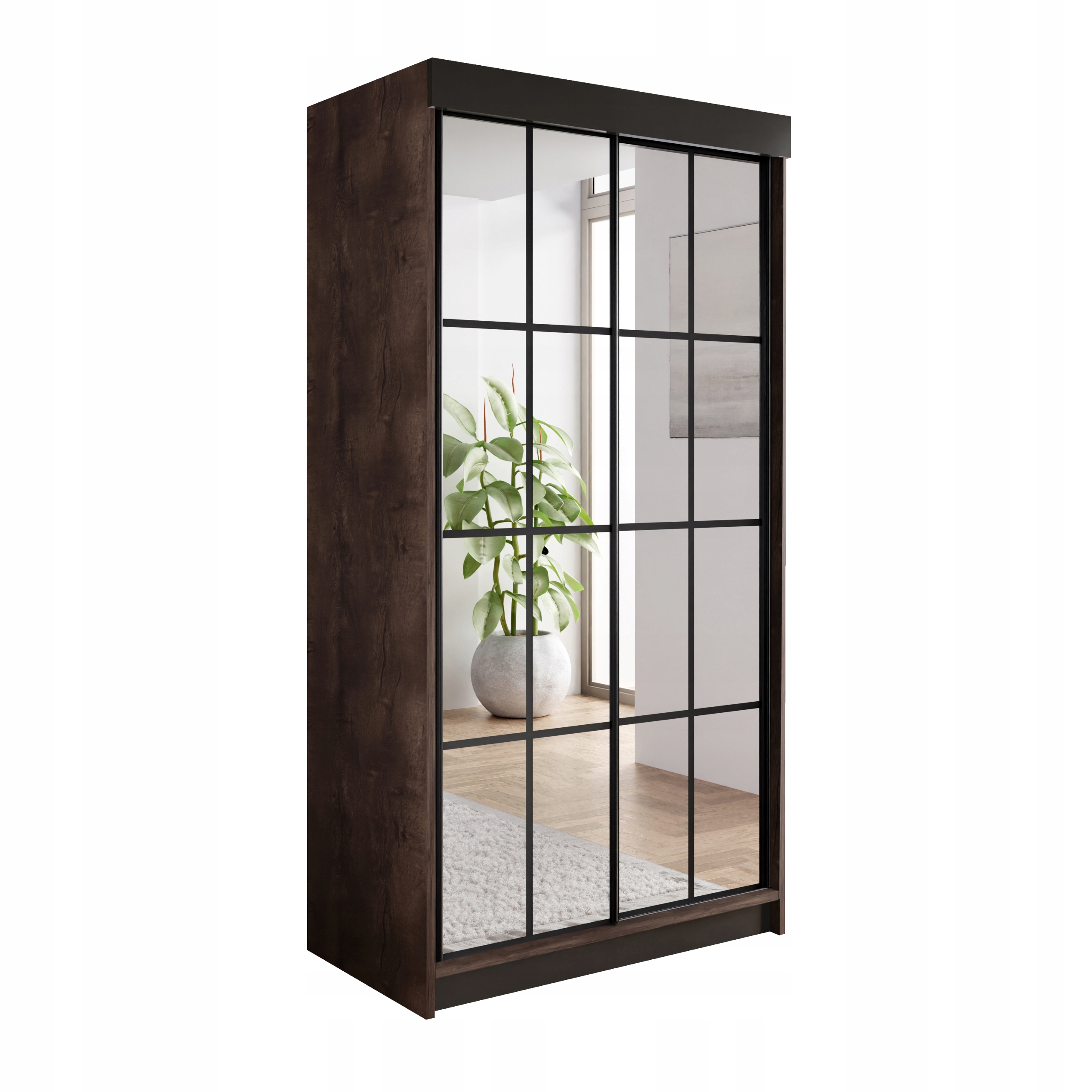 Skříň skříň se zrcadlem Bari 2 jasan tmavý 100 se zrcadly