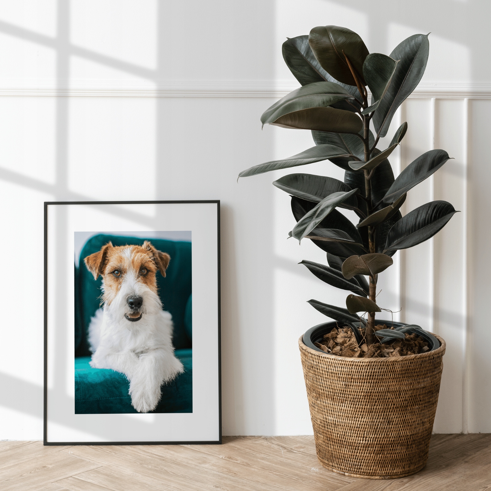 Profesjonalny PAPIER FOTOGRAFICZNY 4R 200G 50 KARTEK Format 10 x 15 cm