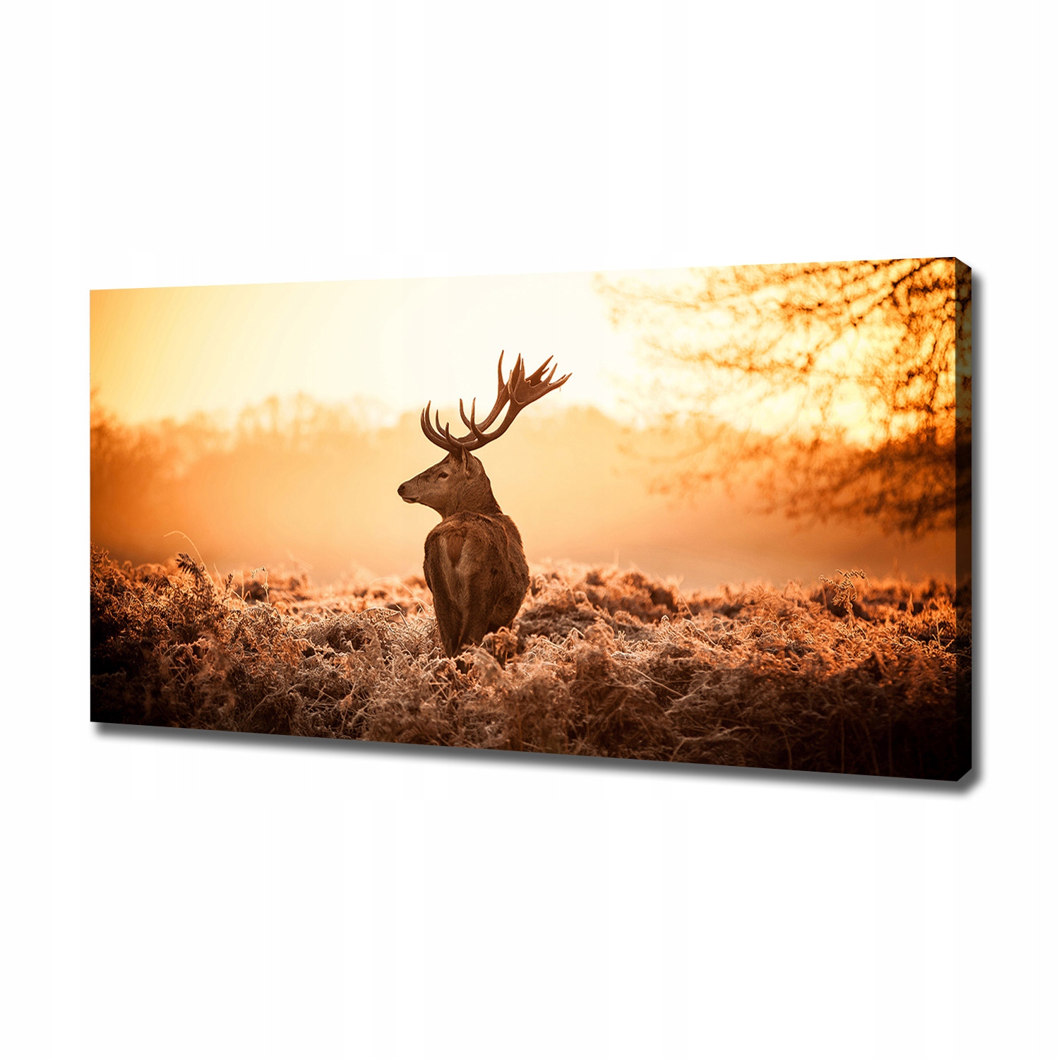 

Foto obraz na płótnie Jeleń wschód słońca 120x60cm