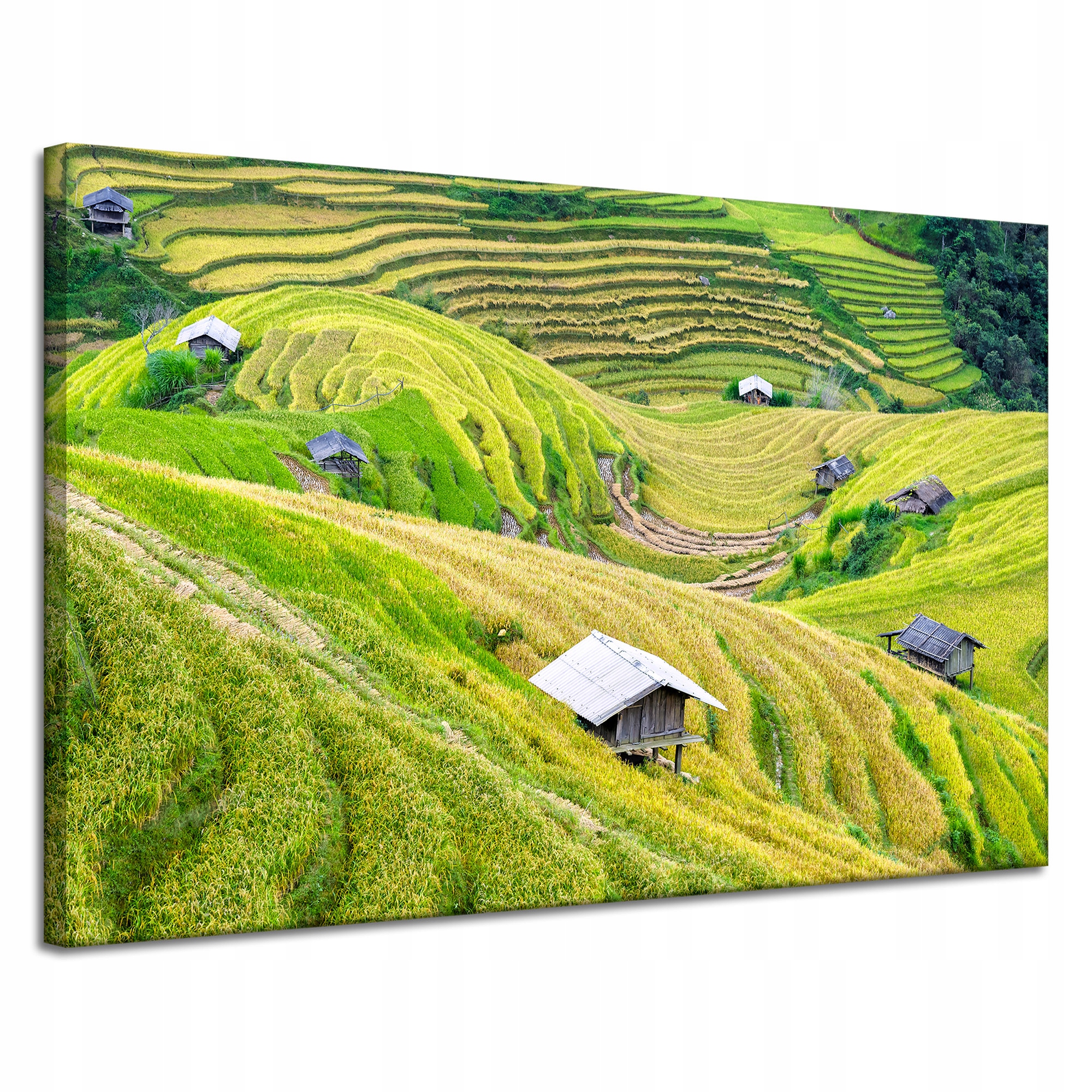 Obraz Canvas Příroda Zemědělské terasy Zeleň 120x80 cm
